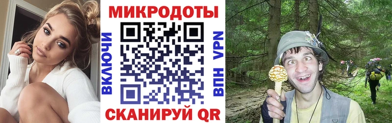 Купить где  Спасск-Дальний  Псилоцибиновые грибы Psilocybe 